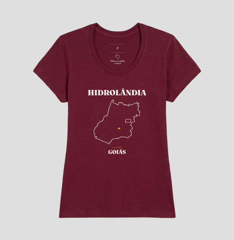 Hidrolândia | Legado GO - Imagem 19