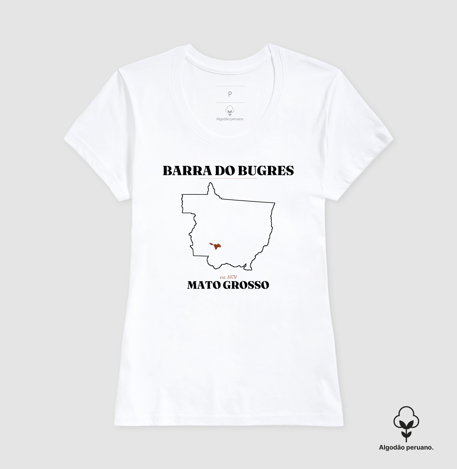 Barra do Bugres | Legado MT - Imagem 8