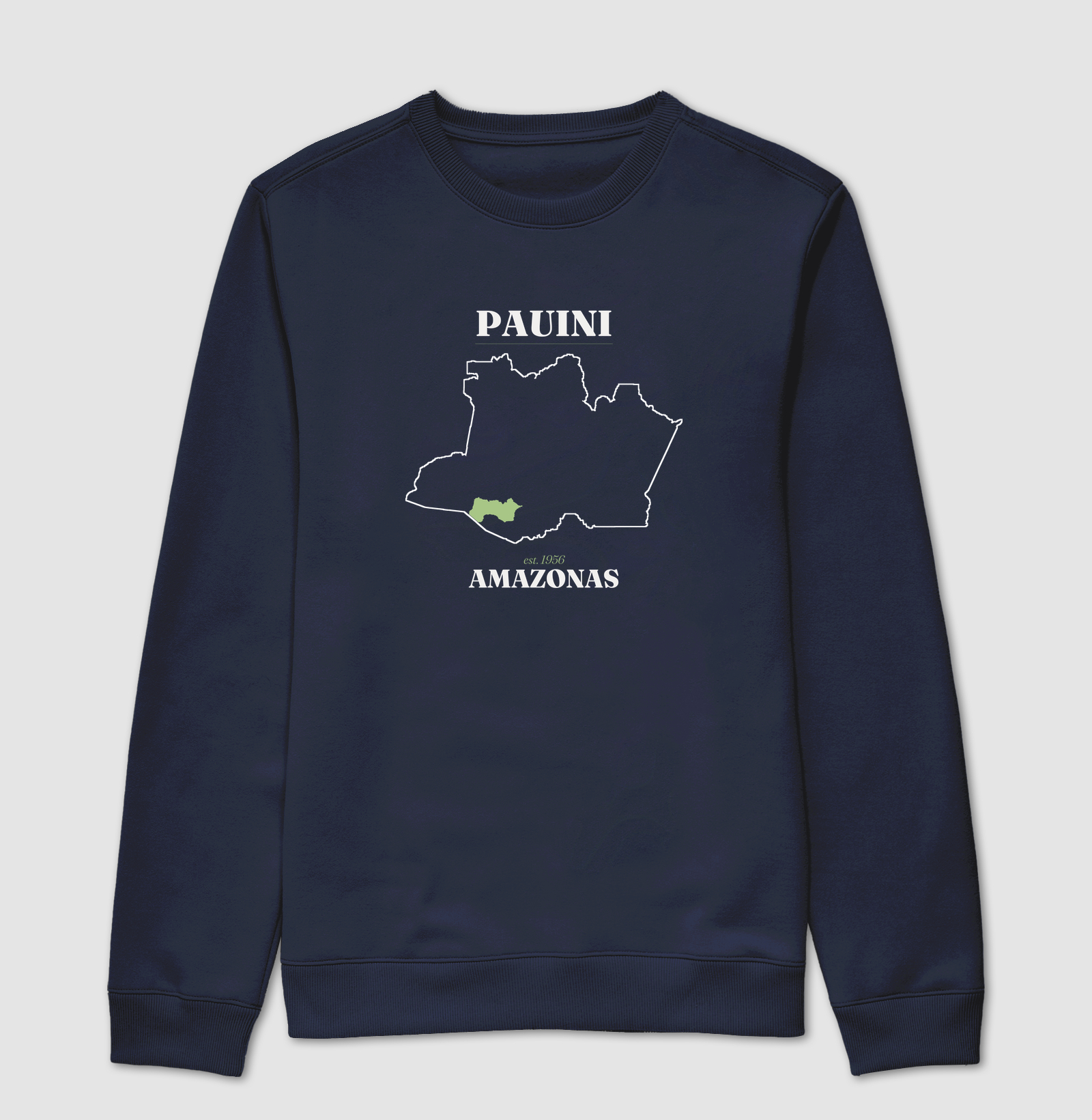 Pauini | Legado AM - Imagem 5