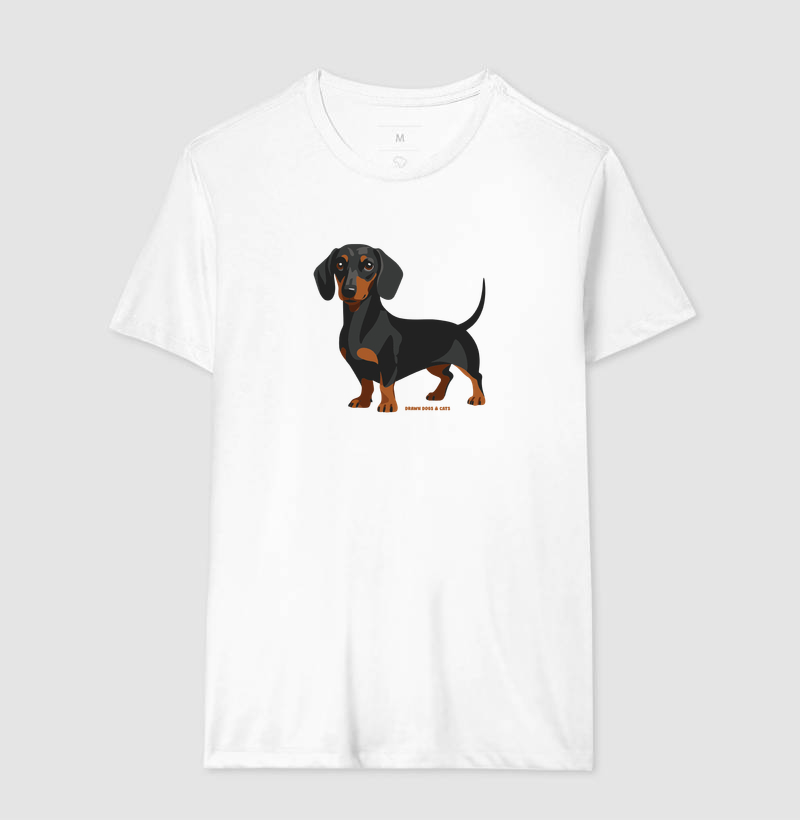 Dachshund - Imagem 2