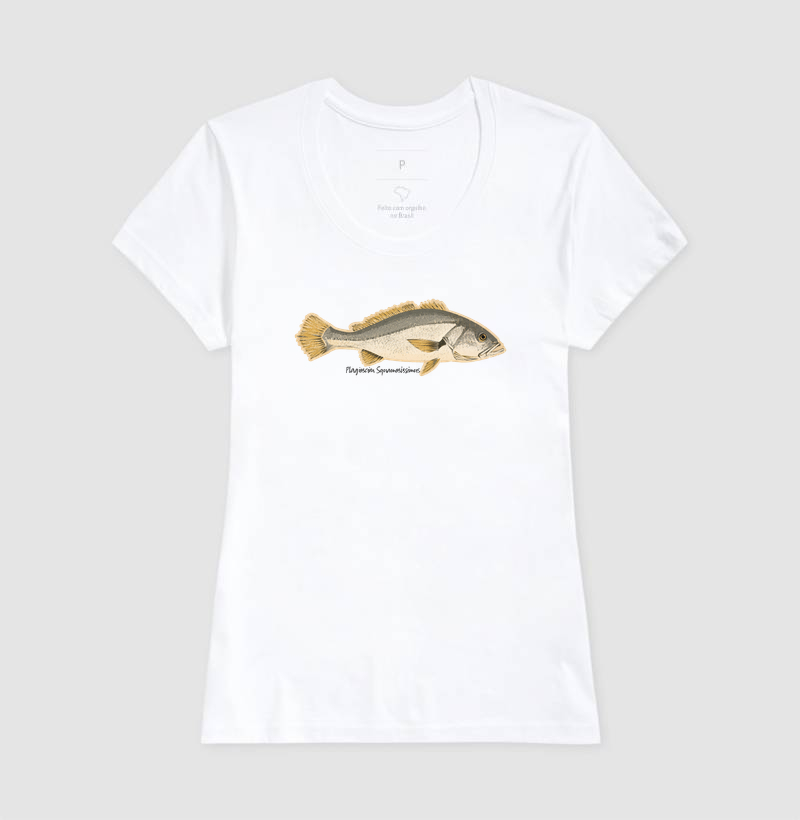🎣 Corvina 🐟 - Imagem 5