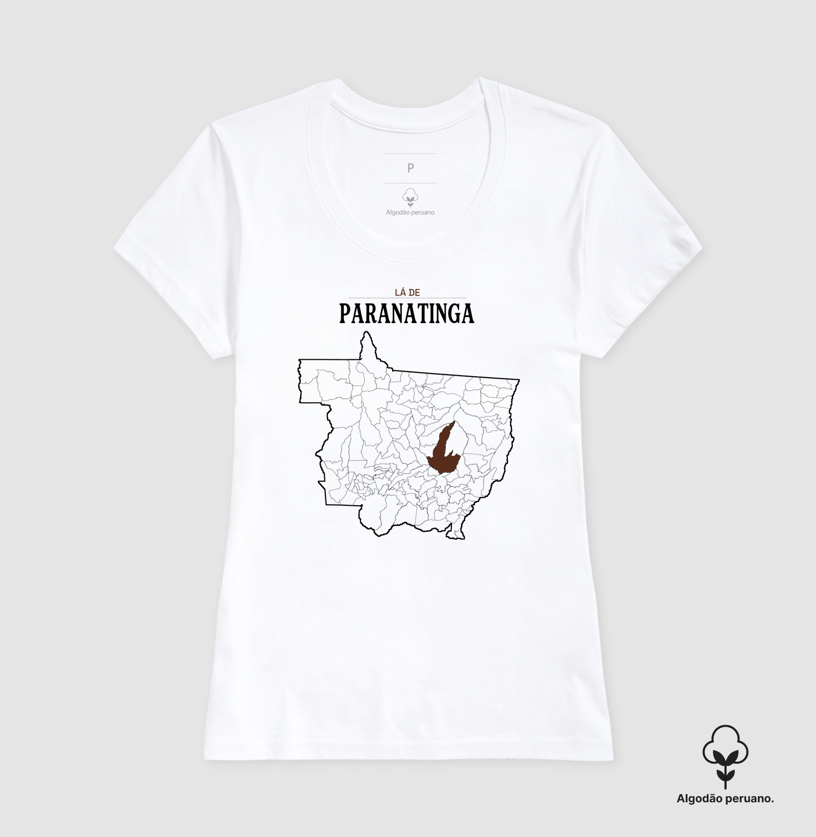 Paranatinga | Território MT - Imagem 6