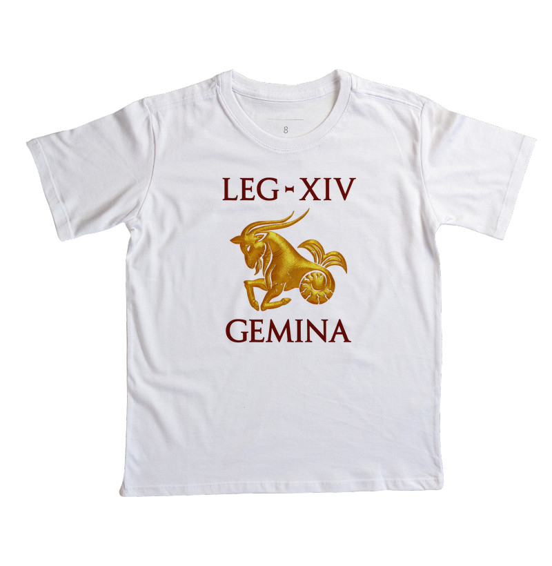 LEGIO — XIV Gemina - Imagem 5
