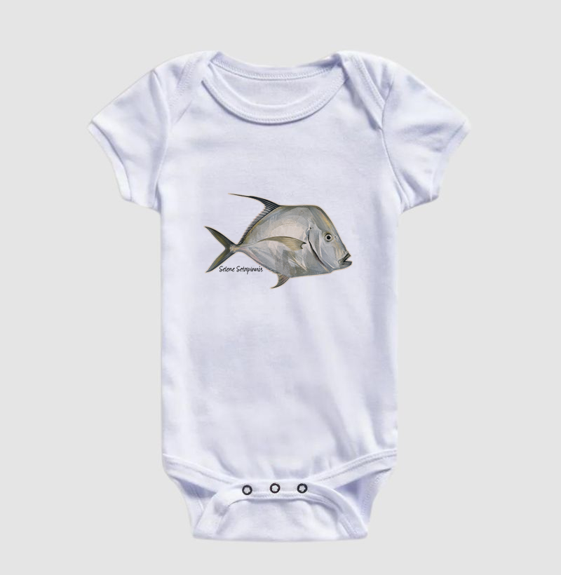 Peixe-Galo - Imagem 3