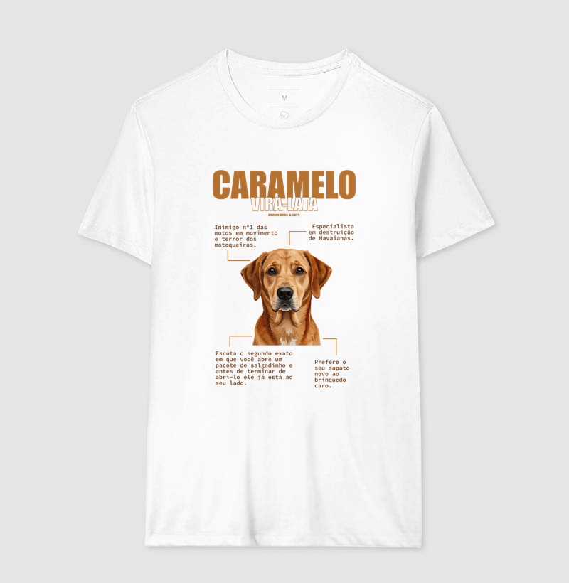 Vira-lata caramelo - Imagem 3