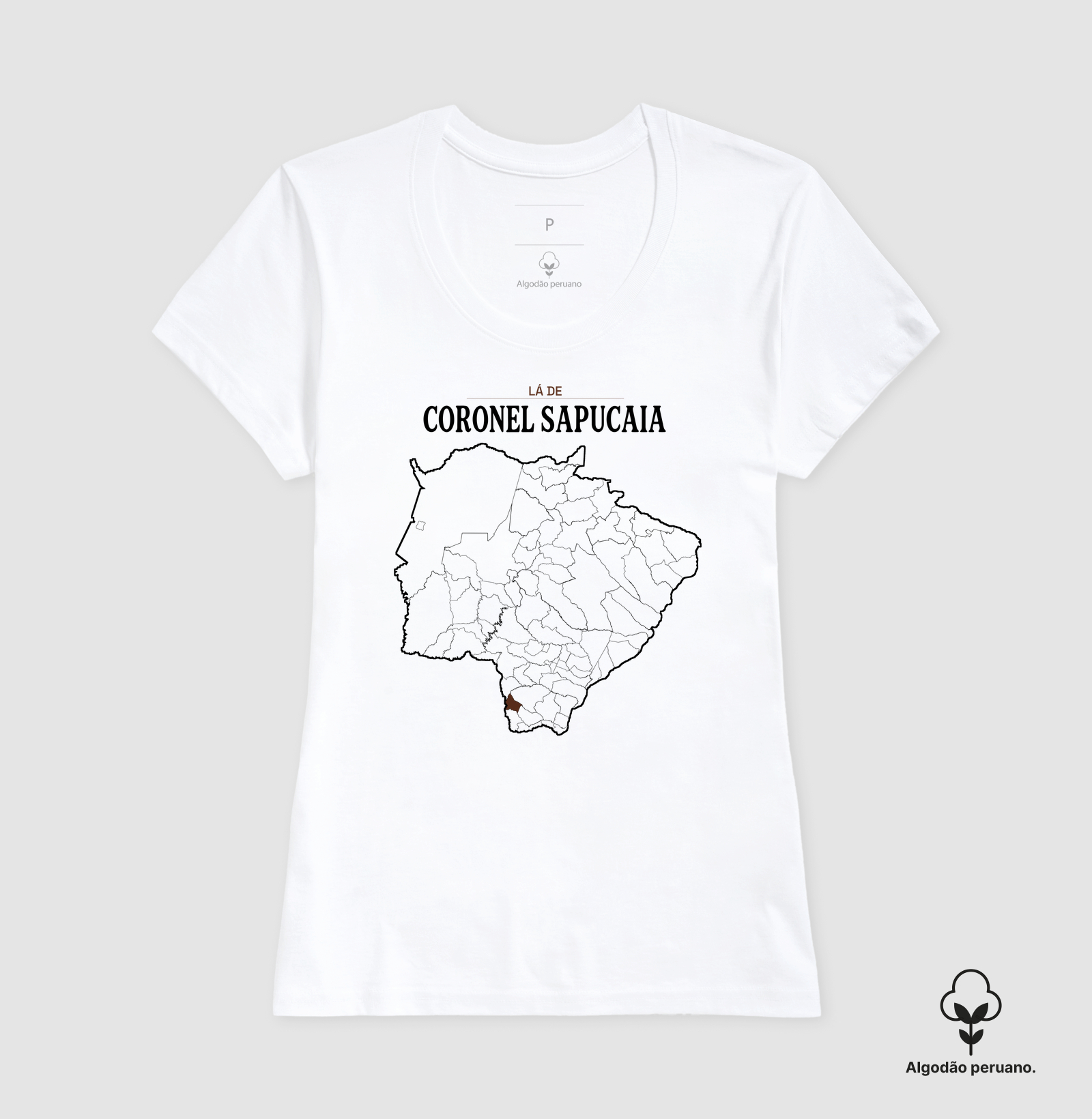 Coronel Sapucaia | Território MS - Imagem 3