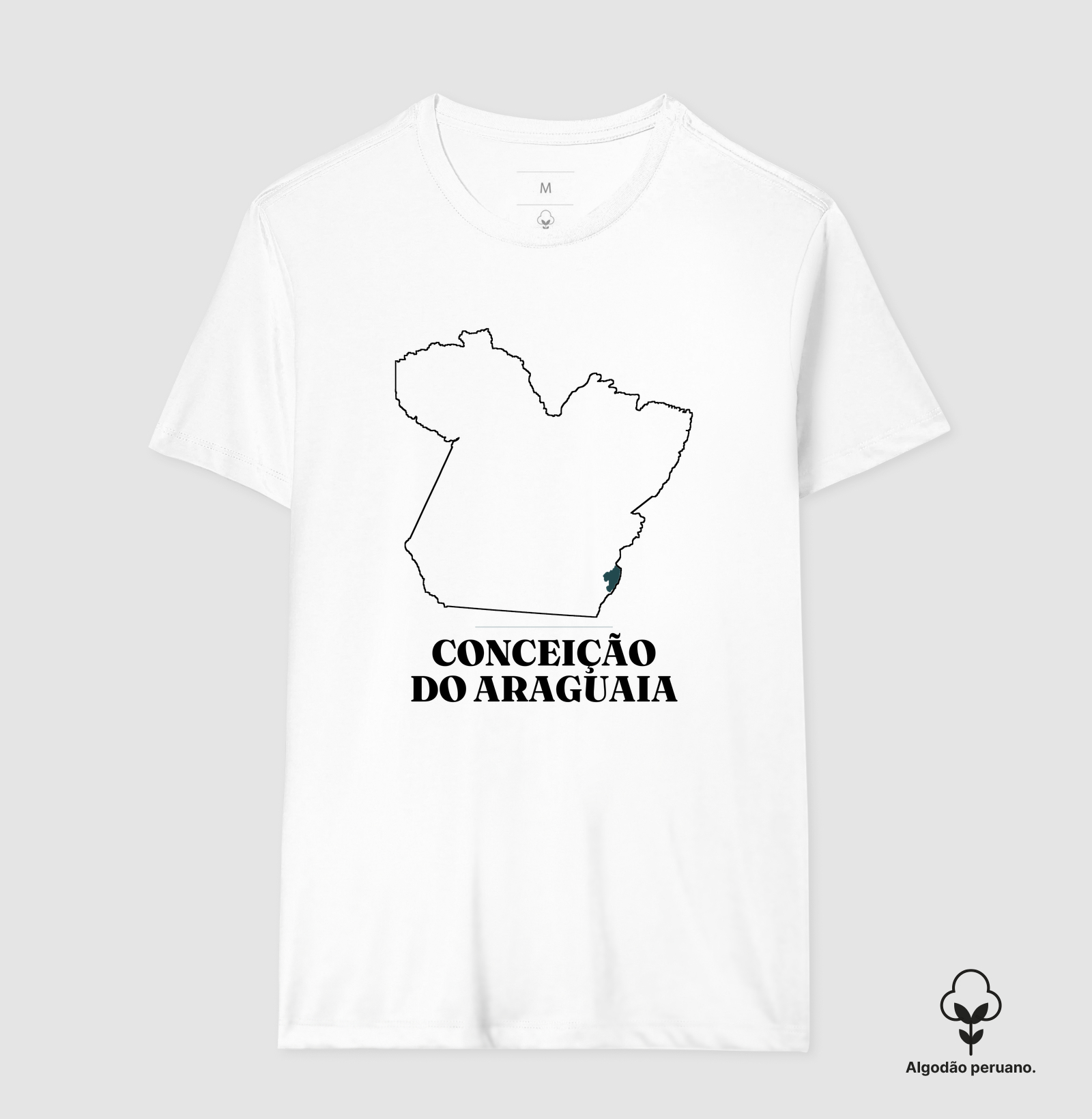 Conceição do Araguaia | Traço PA - Imagem 5