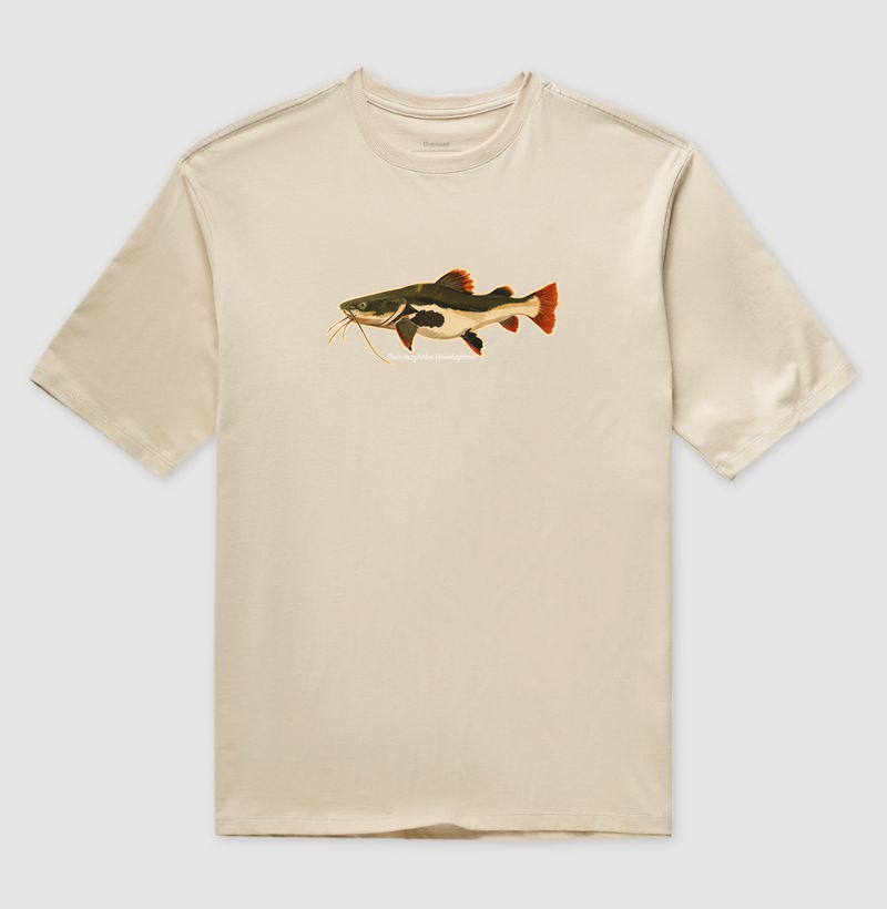 Pirarara 🐟 - Imagem 3