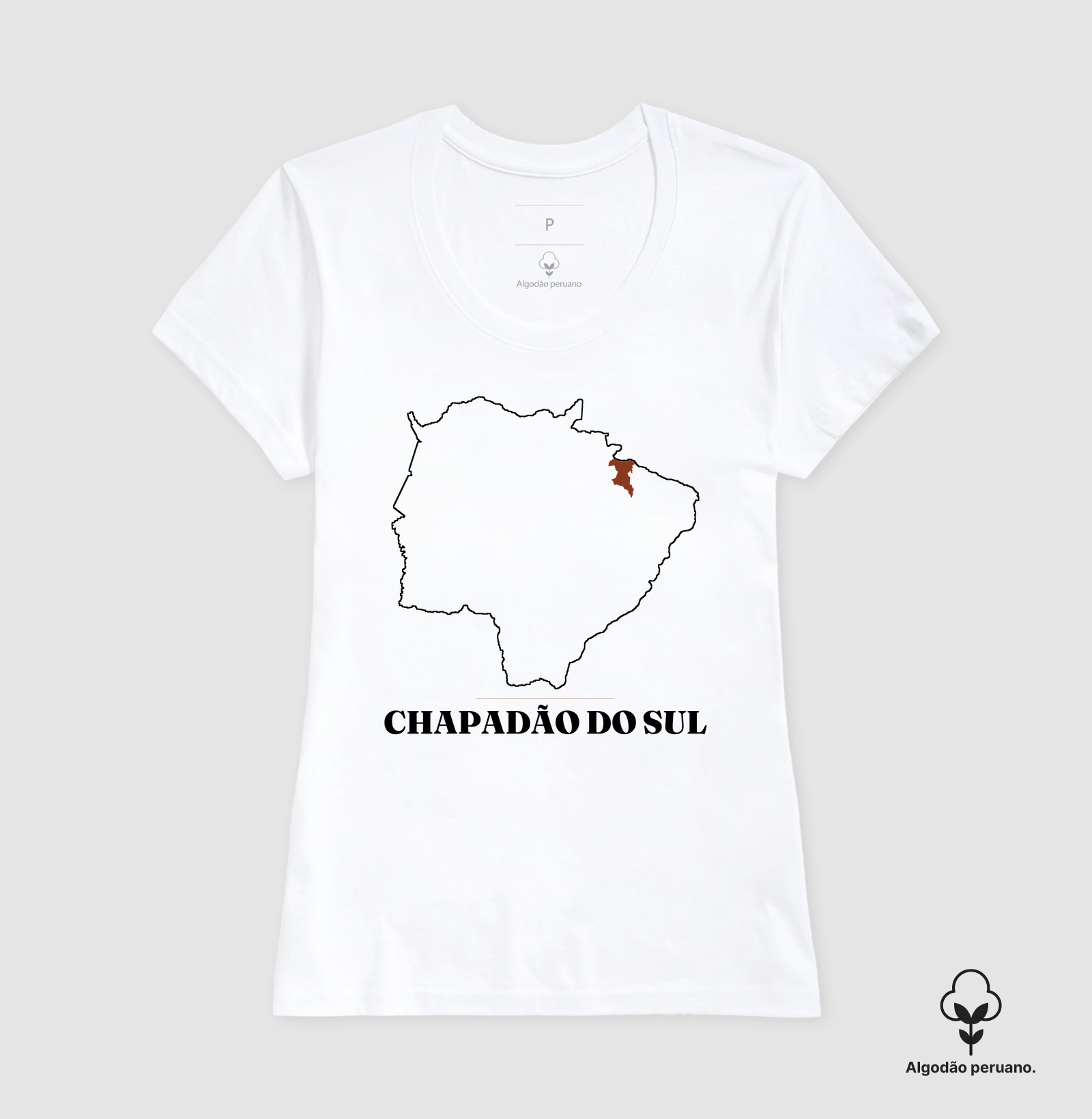 Chapadão do Sul | Traço MS - Imagem 7