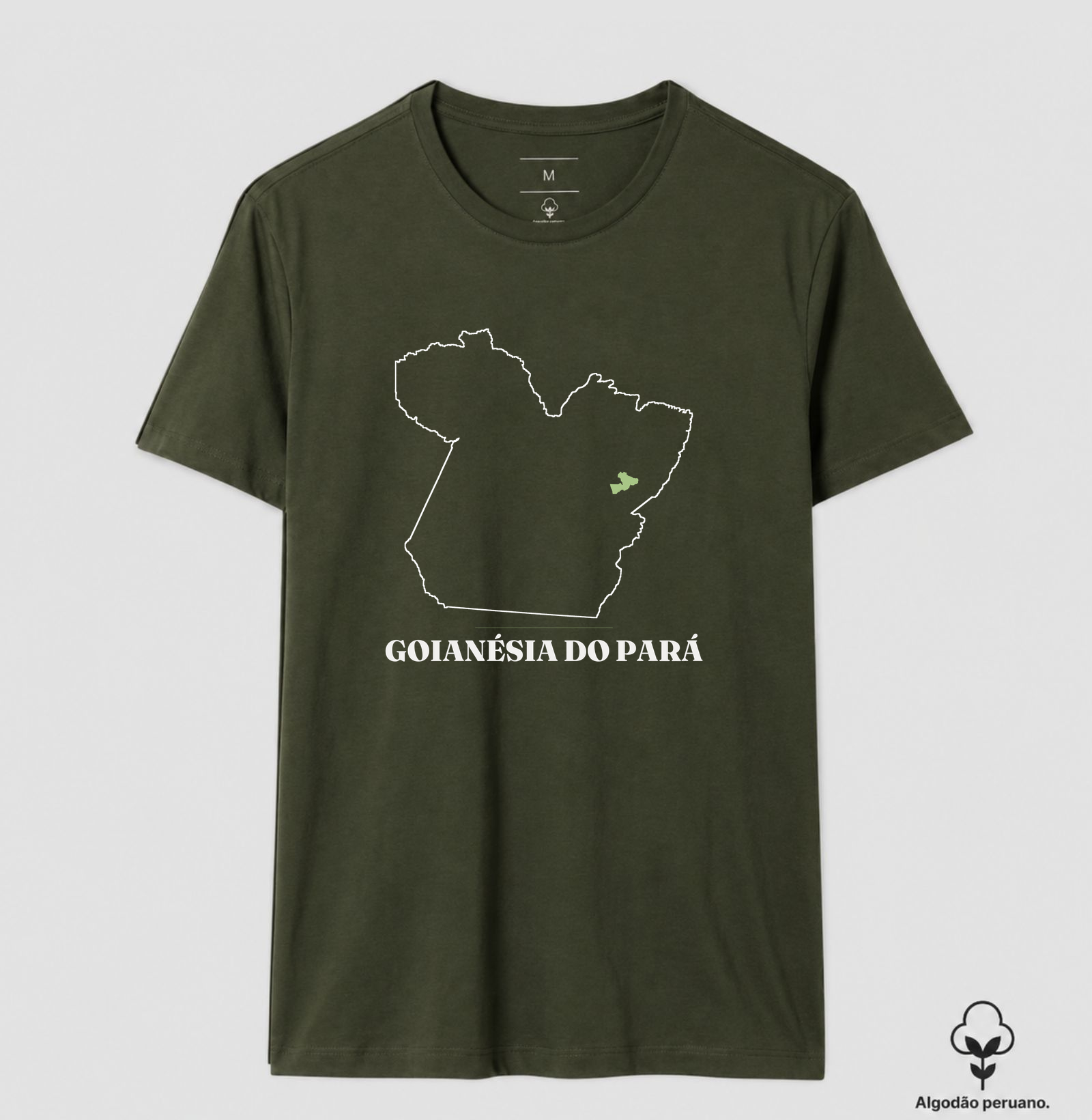 Goianésia do Pará | Traço PA - Imagem 9