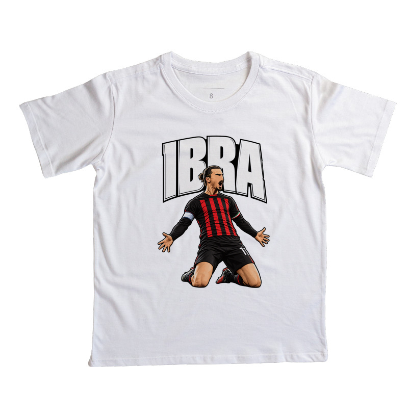 IBRA - Imagem 3