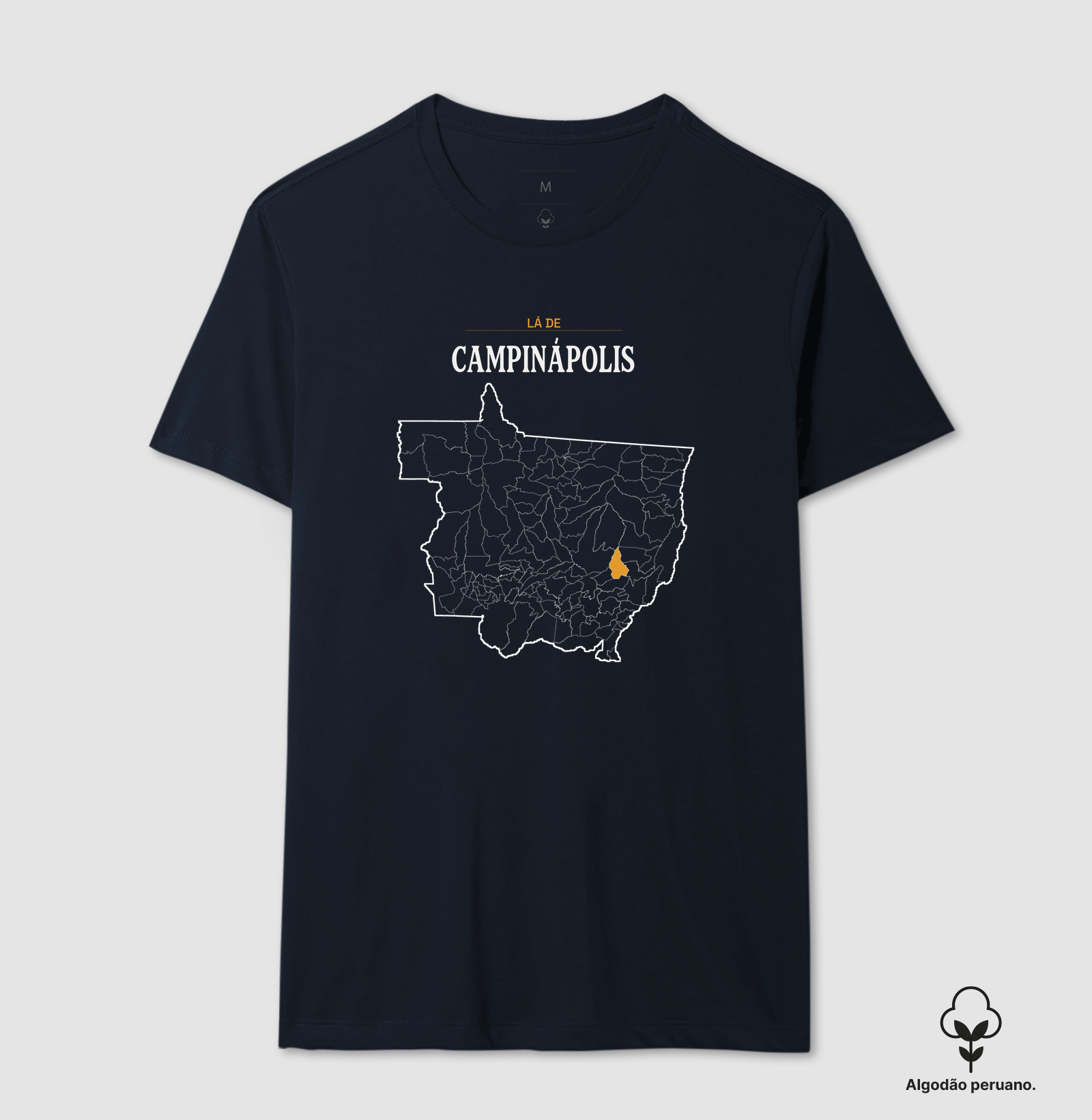 Campinápolis | Território MT - Imagem 8