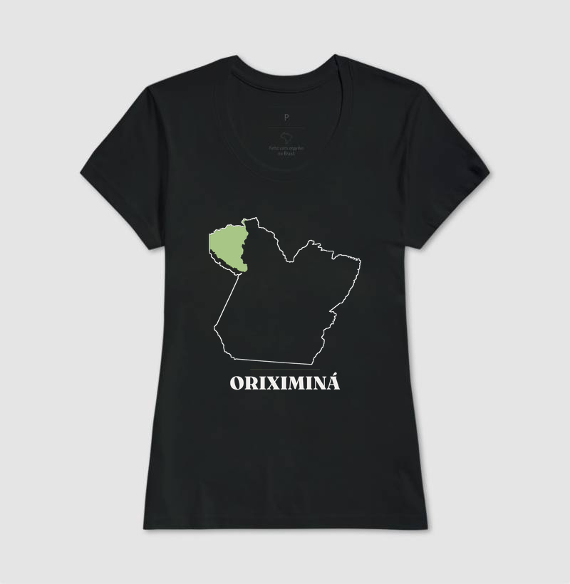 Oriximiná | Traço PA - Imagem 3