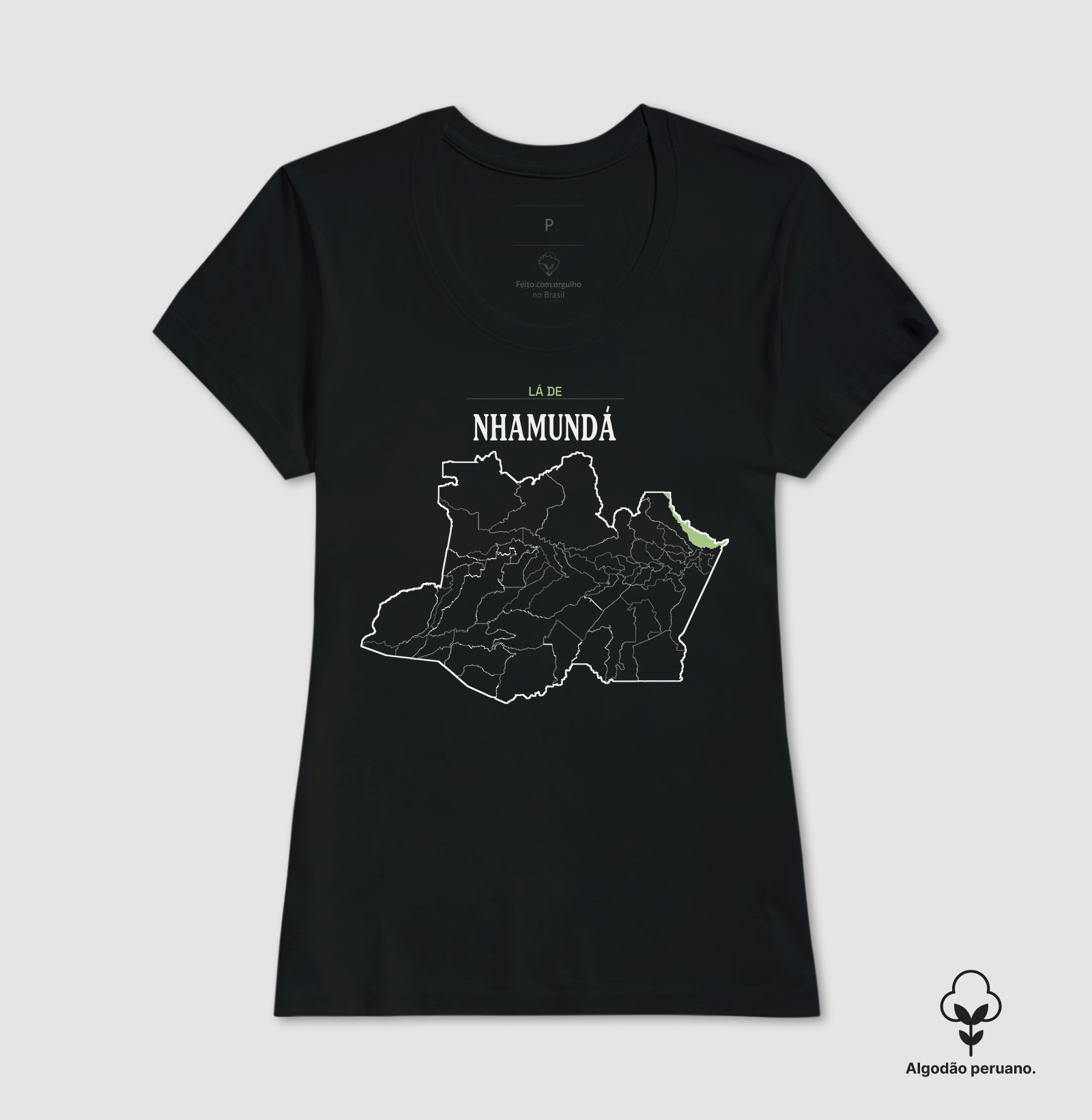 Nhamundá | Território AM - Imagem 3
