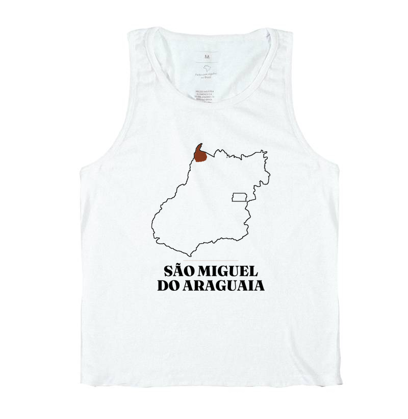 São Miguel do Araguaia | Traço GO - Imagem 2