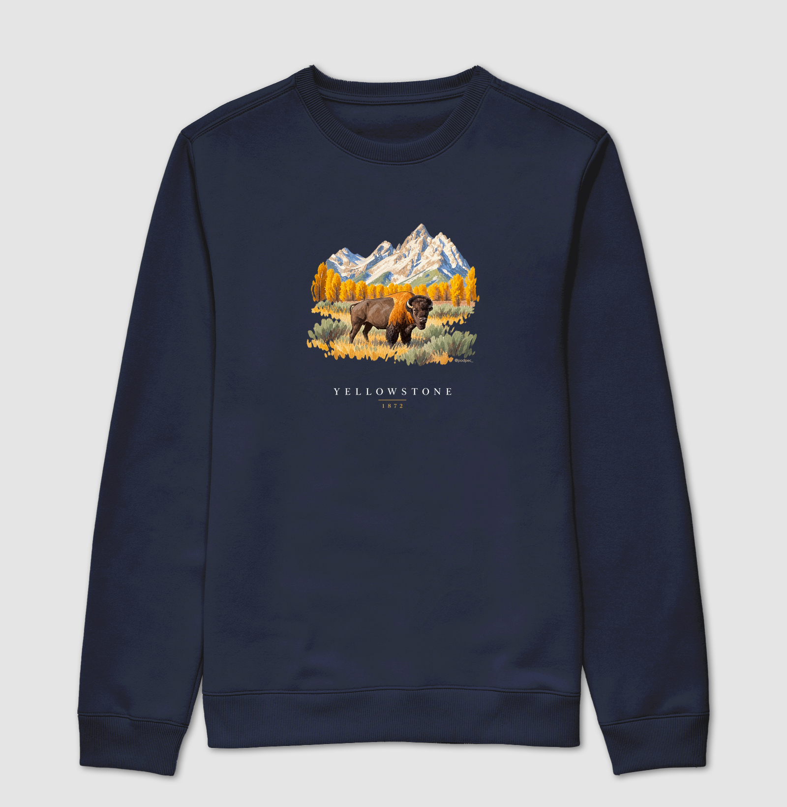 Bison - Yellowstone - Imagem 5