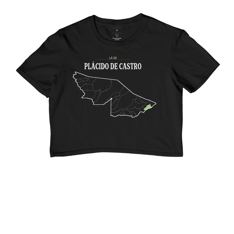 Plácido de Castro | Território AC - Imagem 2