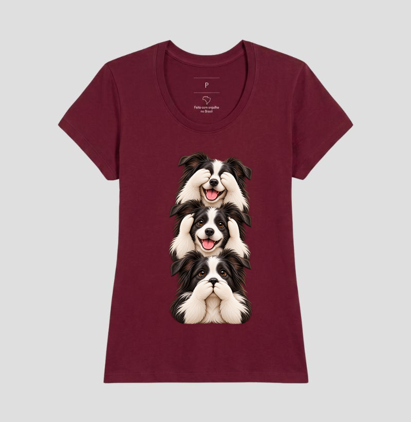 Ver, ouvir e falar Border Collie - Imagem 17