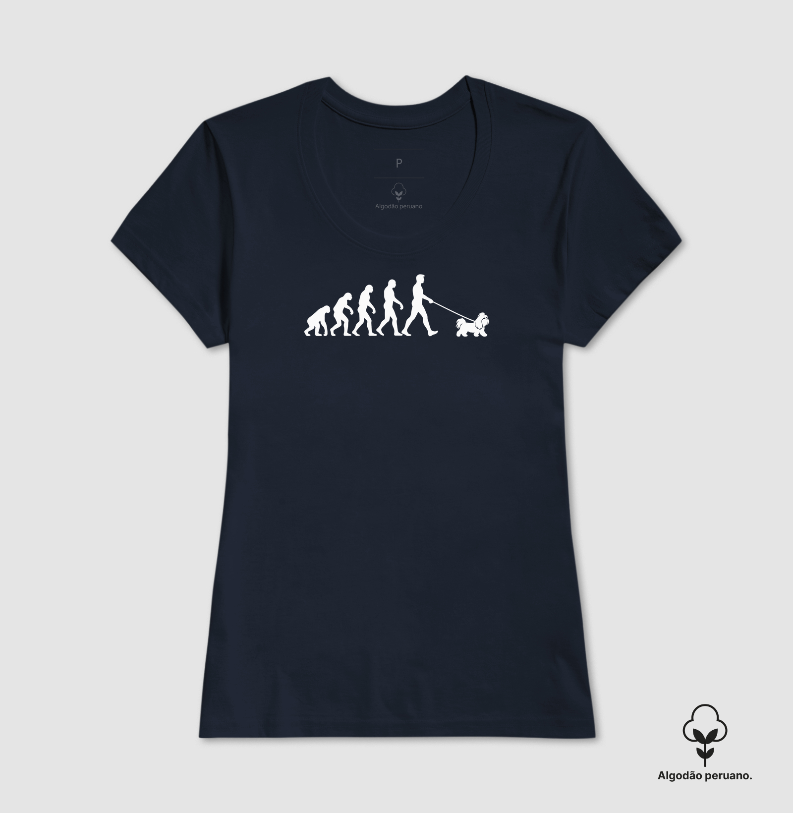 Evolução Shih Tzu - Imagem 7