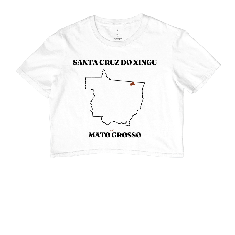 Santa Cruz do Xingu | Legado MT - Imagem 3