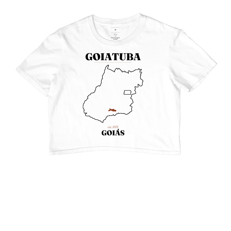 Goiatuba | Legado GO - Imagem 3