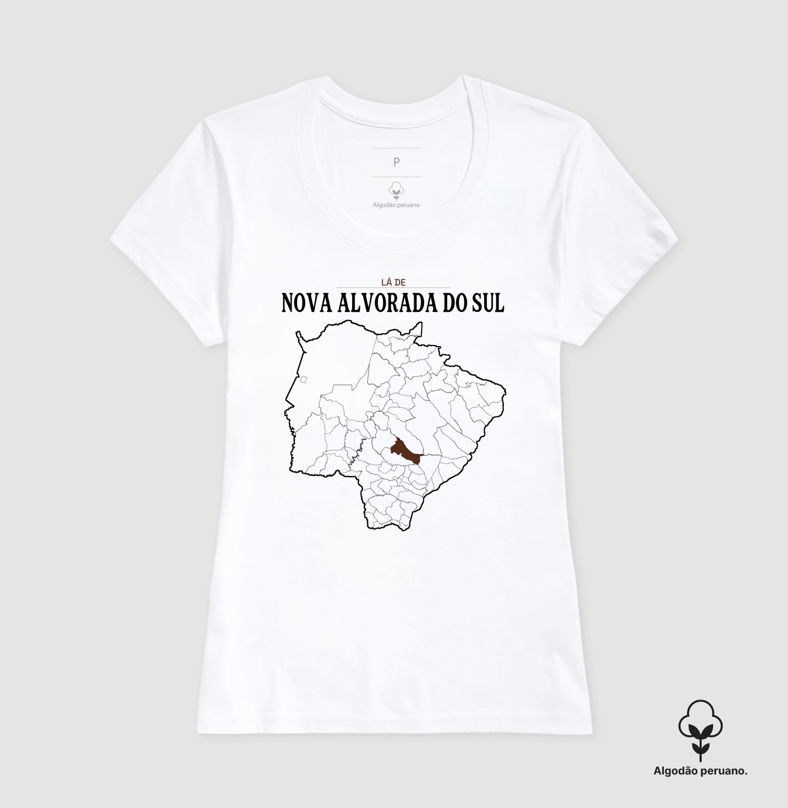 Nova Alvorada do Sul | Território MS - Imagem 8