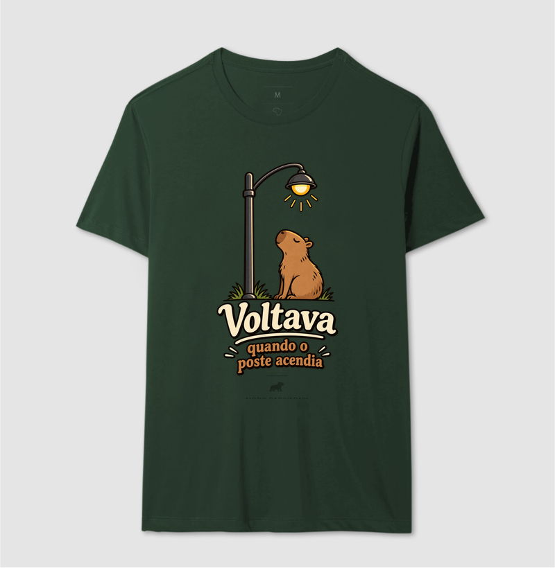 VOLTAVA QUANDO O POSTE ACENDIA - Imagem 14