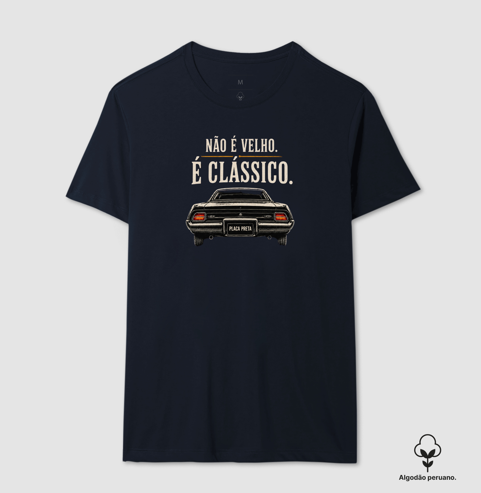 Não é velho, é clássico | Carro - Imagem 5