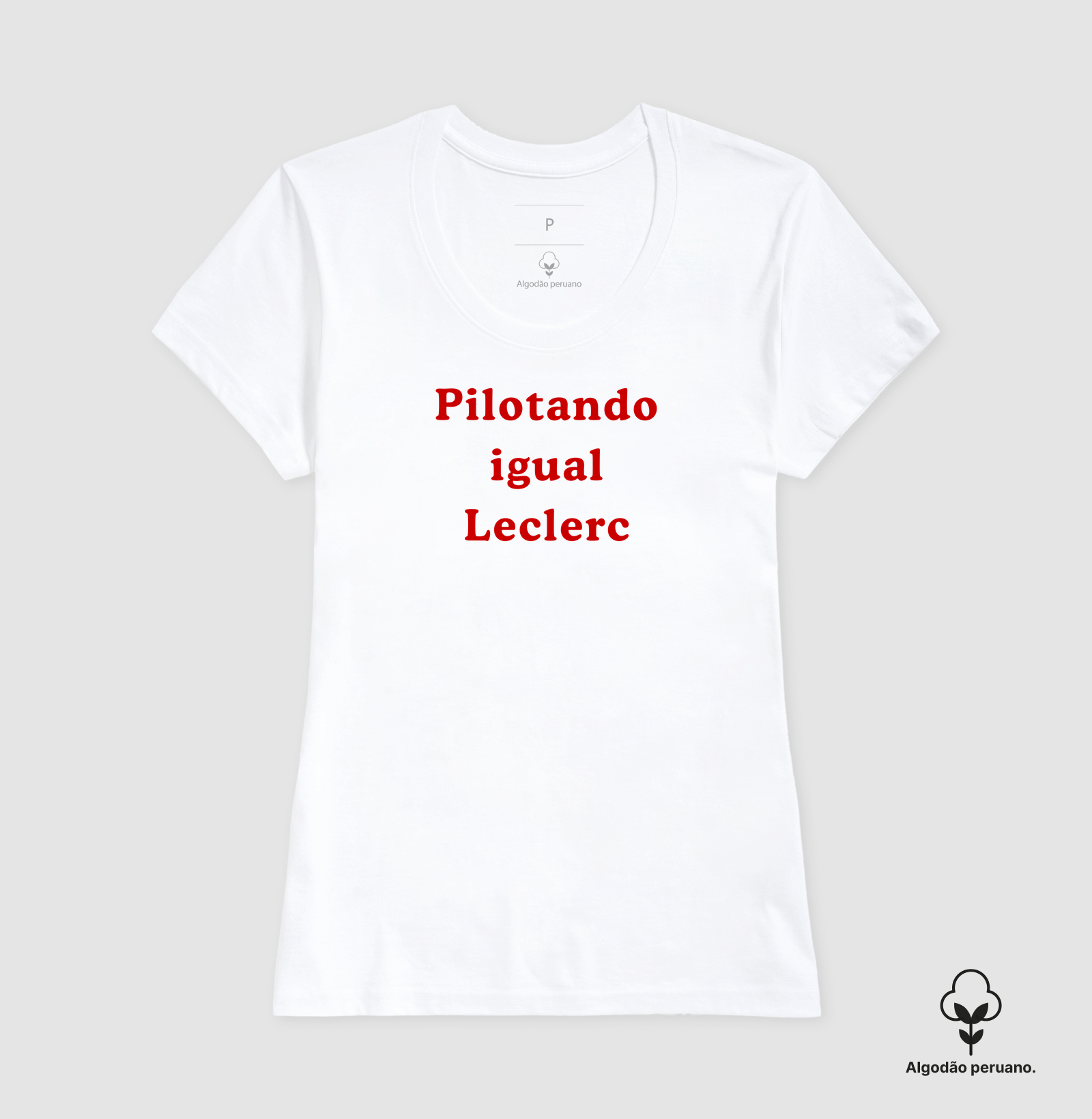 Pilotando igual o Leclerc - Imagem 7