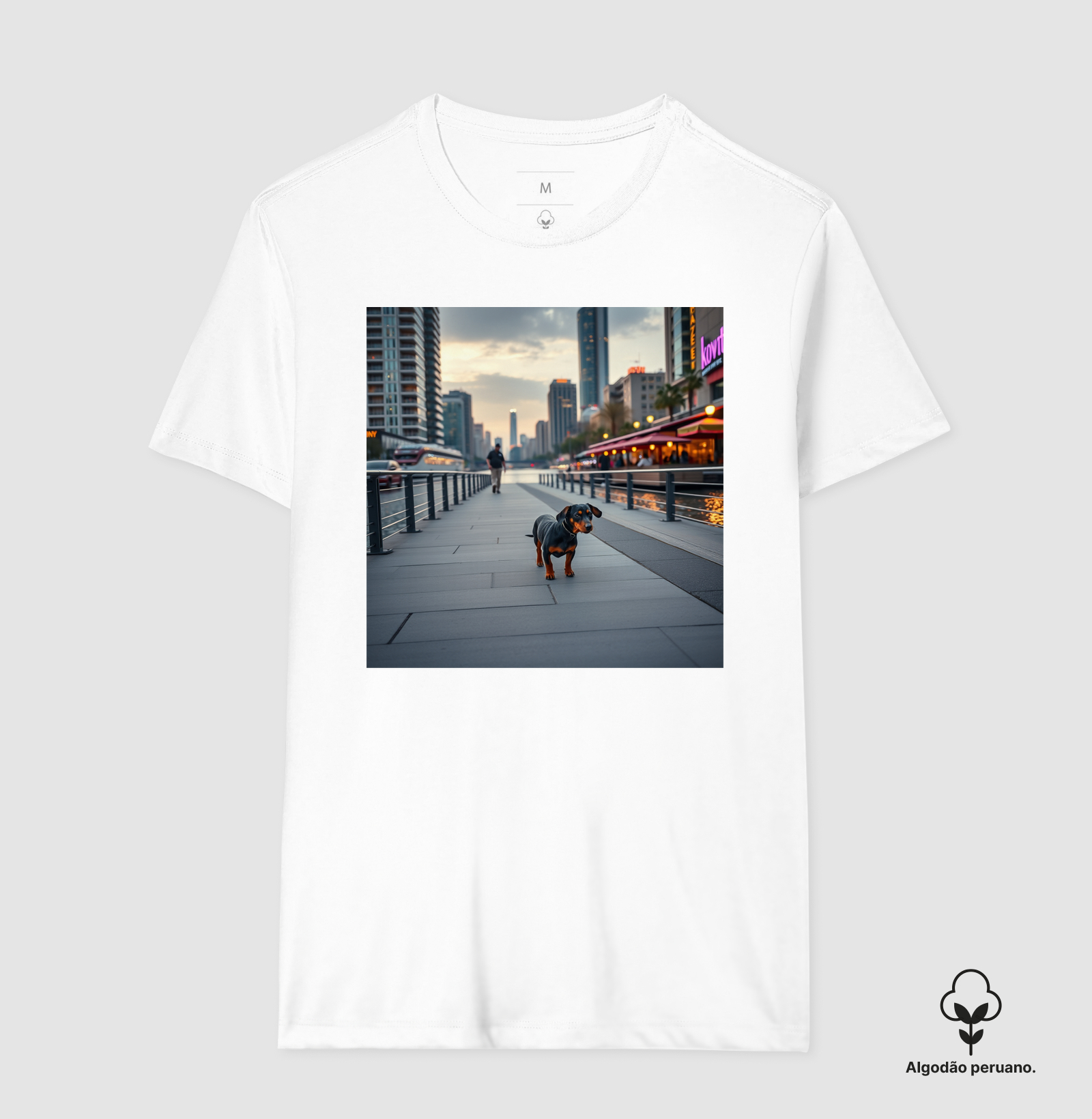 Camisa 4