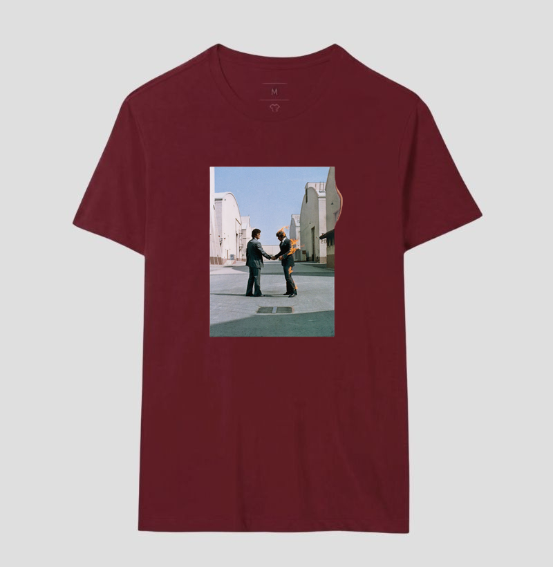 Pink Floyd - Wish You Were Here - Imagem 18