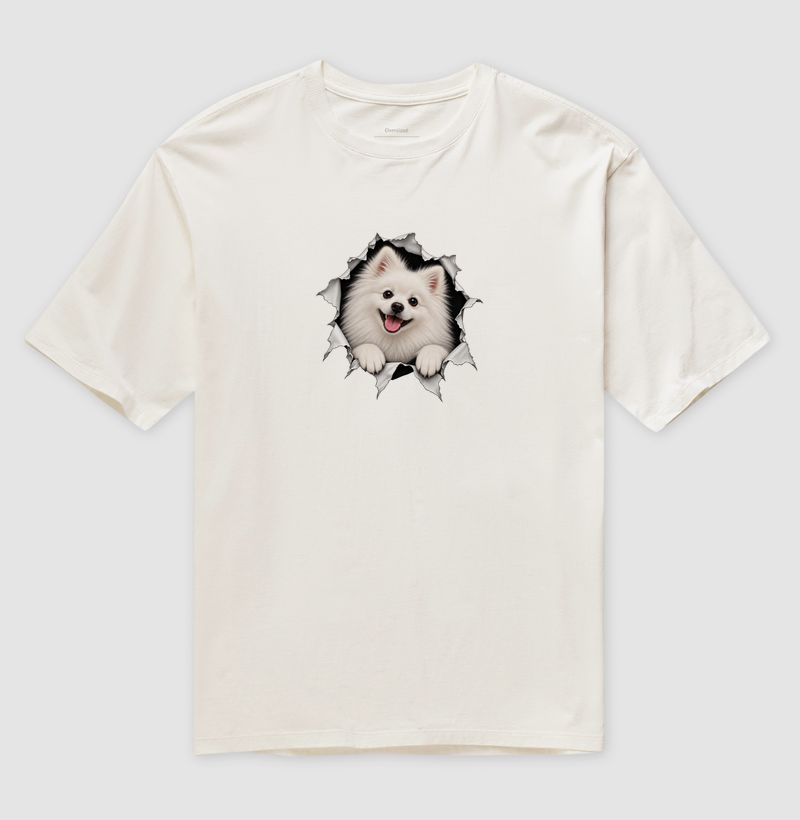 Pomerânia (Spitz Alemão) Saindo da Camisa - Imagem 4