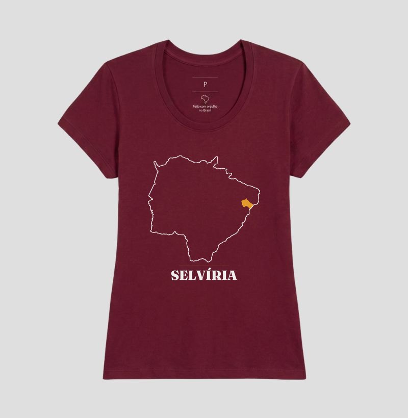 Selvíria | Traço MS - Imagem 19