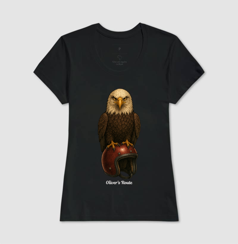 The Eagle and the Helmet - Imagem 3