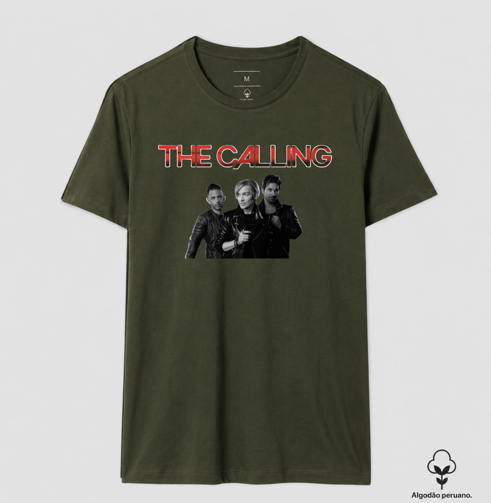 The Calling - Integrantes - Imagem 6
