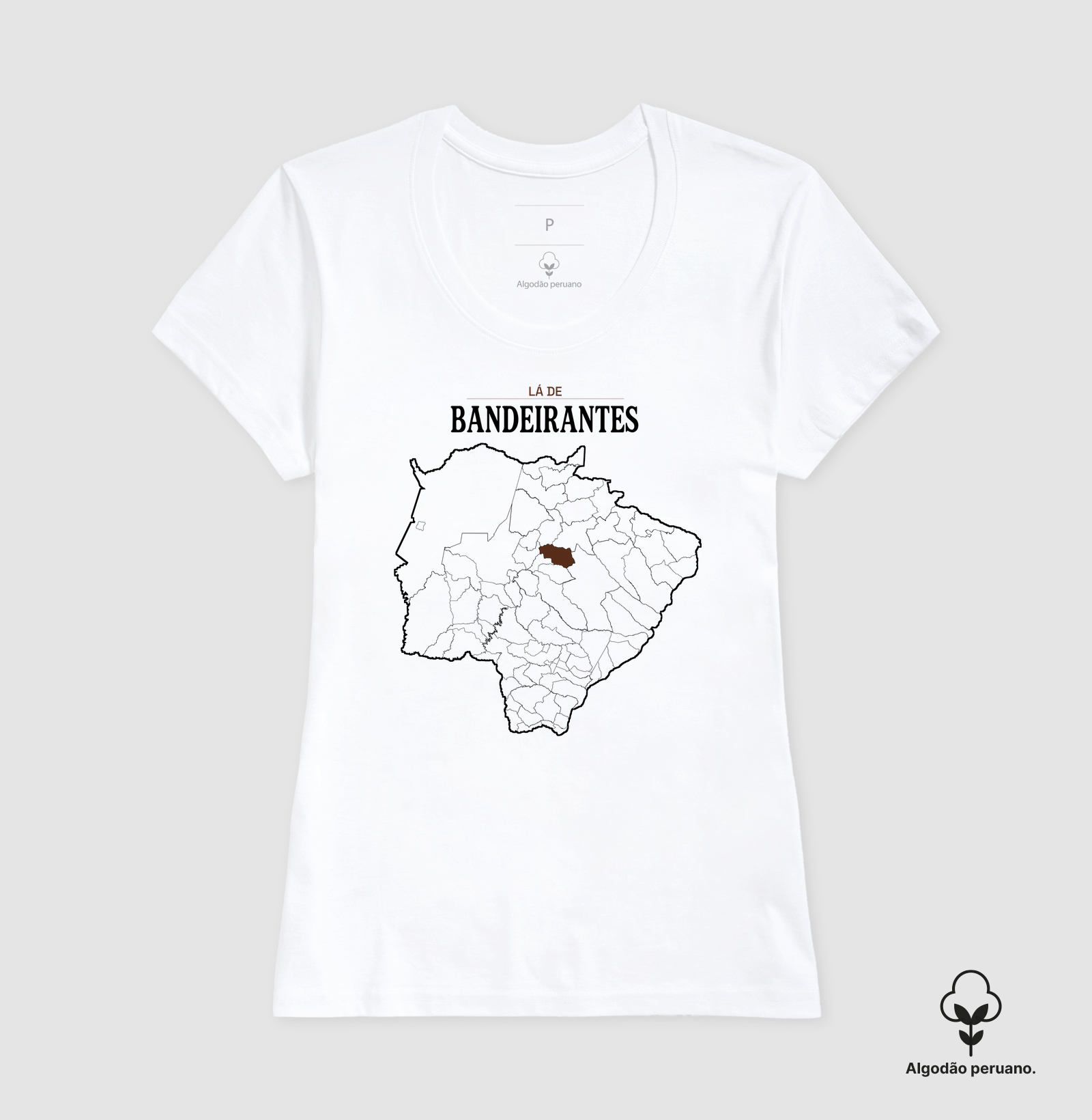 Bandeirantes | Território MS - Imagem 8