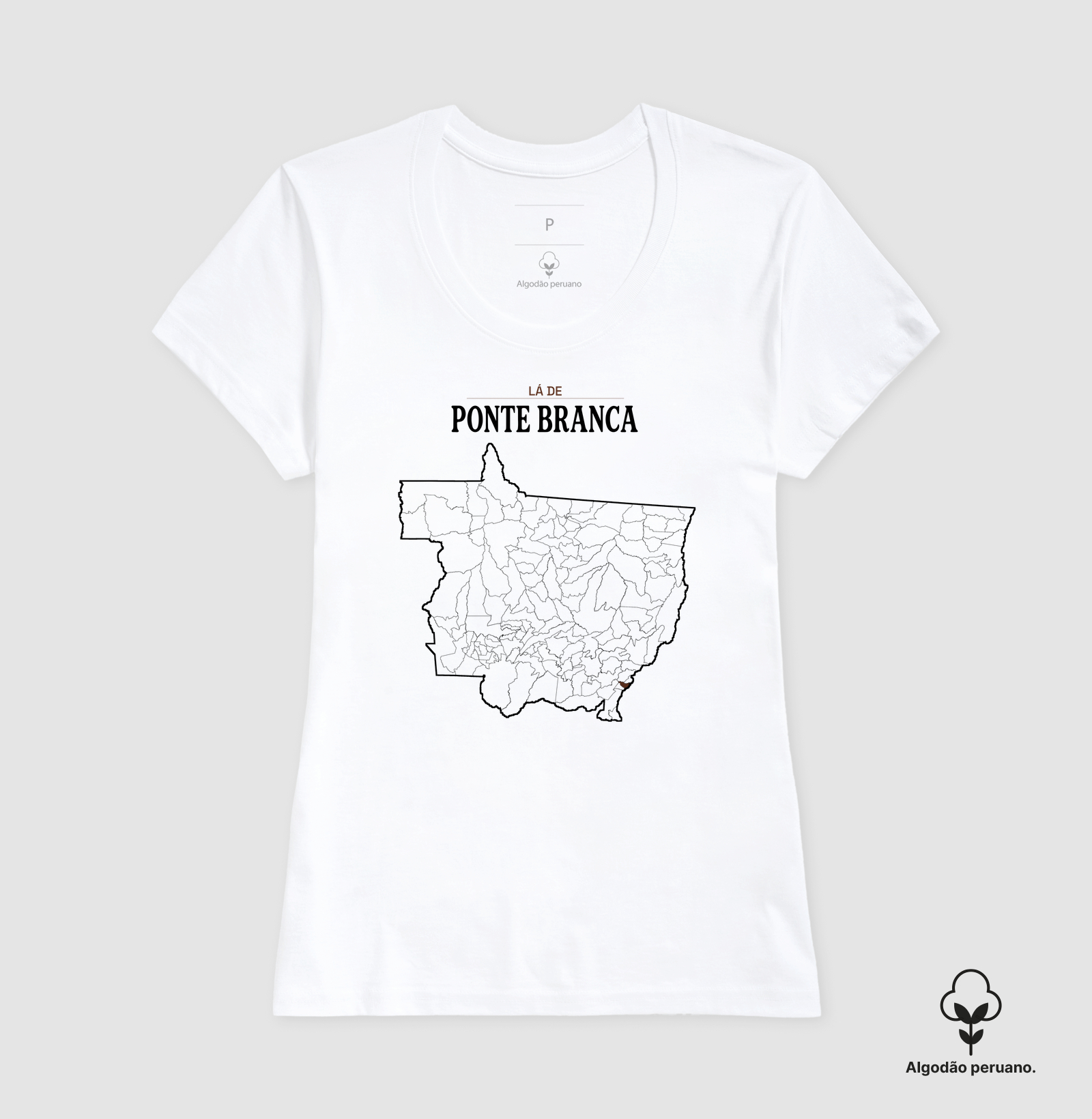 Ponte Branca | Território MT - Imagem 8