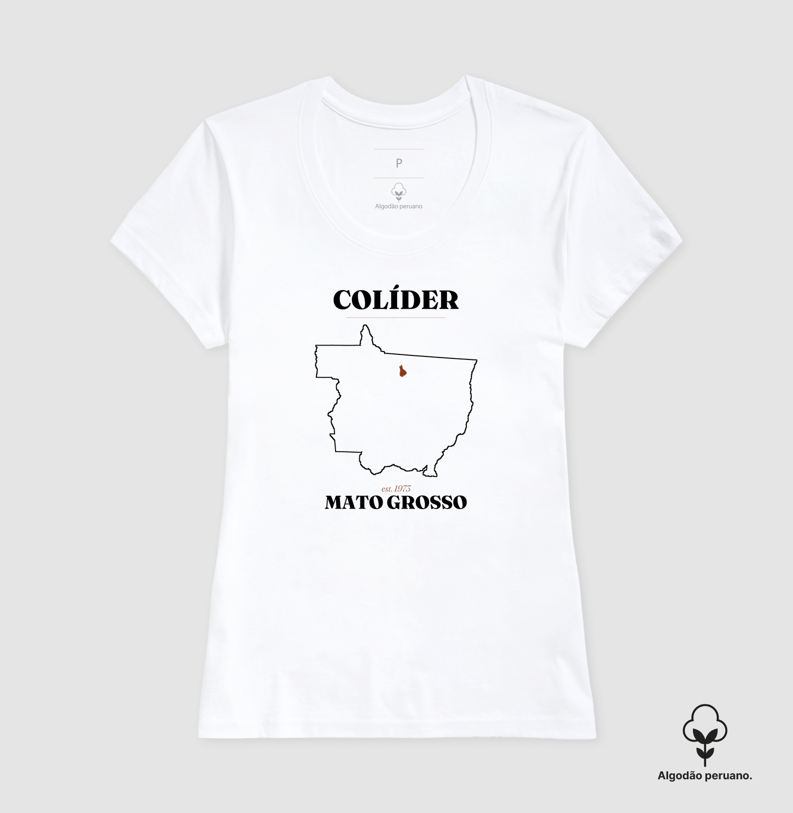 Colíder | Legado MT - Imagem 5