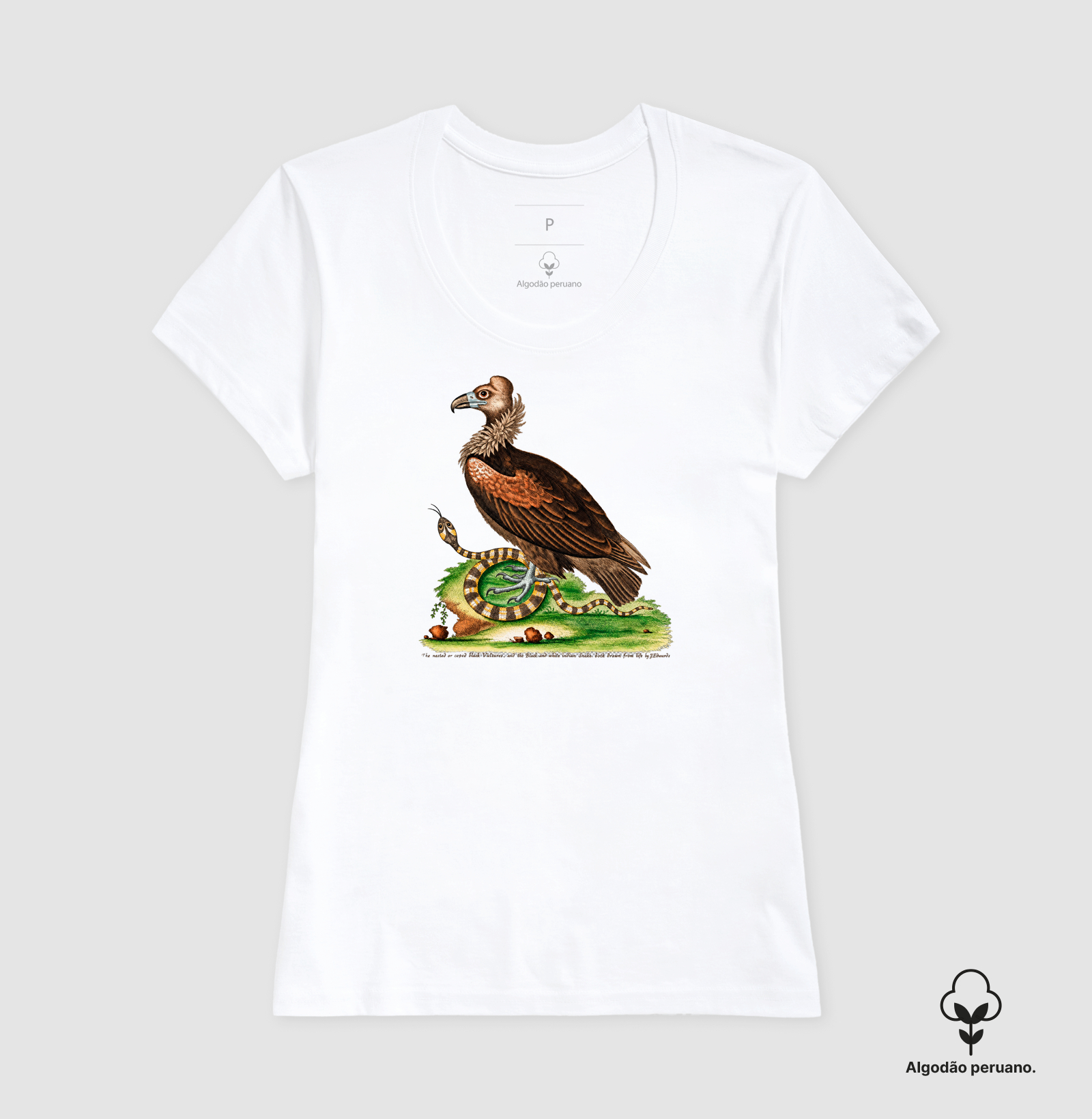 Camiseta Abutre e Serpente — História Natural do Século XVIII - Imagem 7
