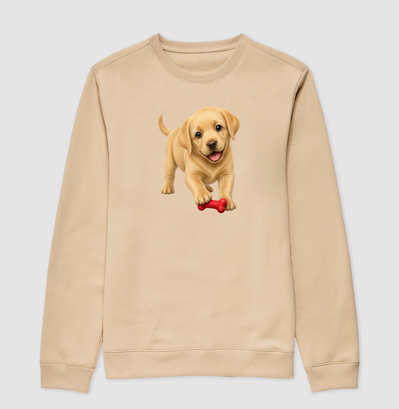 Labrador - Desenho Animado - Imagem 3
