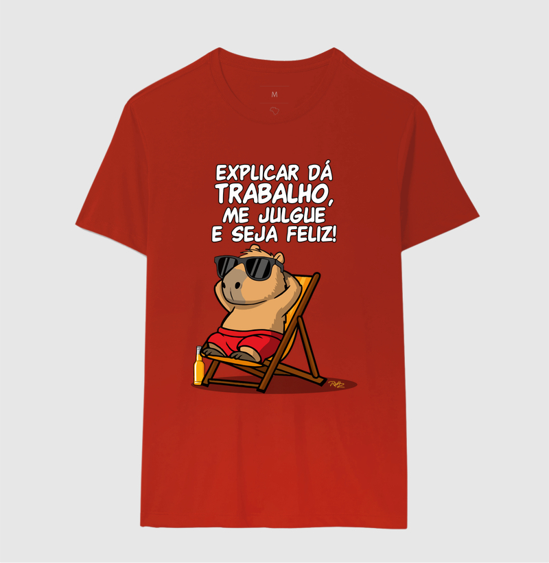 Explicar dá trabalho - Imagem 10