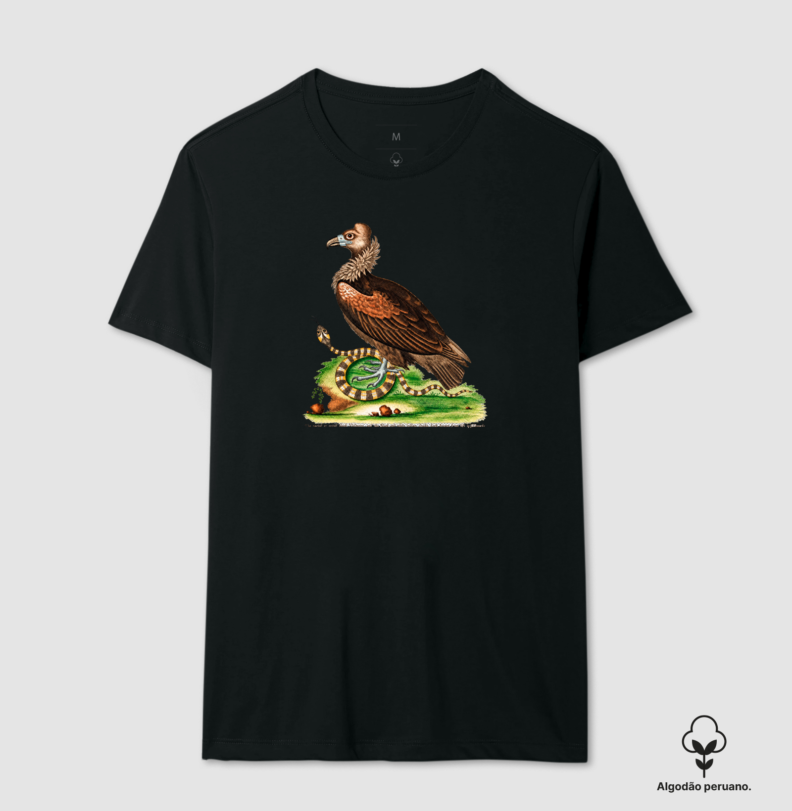 Camiseta Abutre e Serpente — História Natural do Século XVIII - Imagem 4