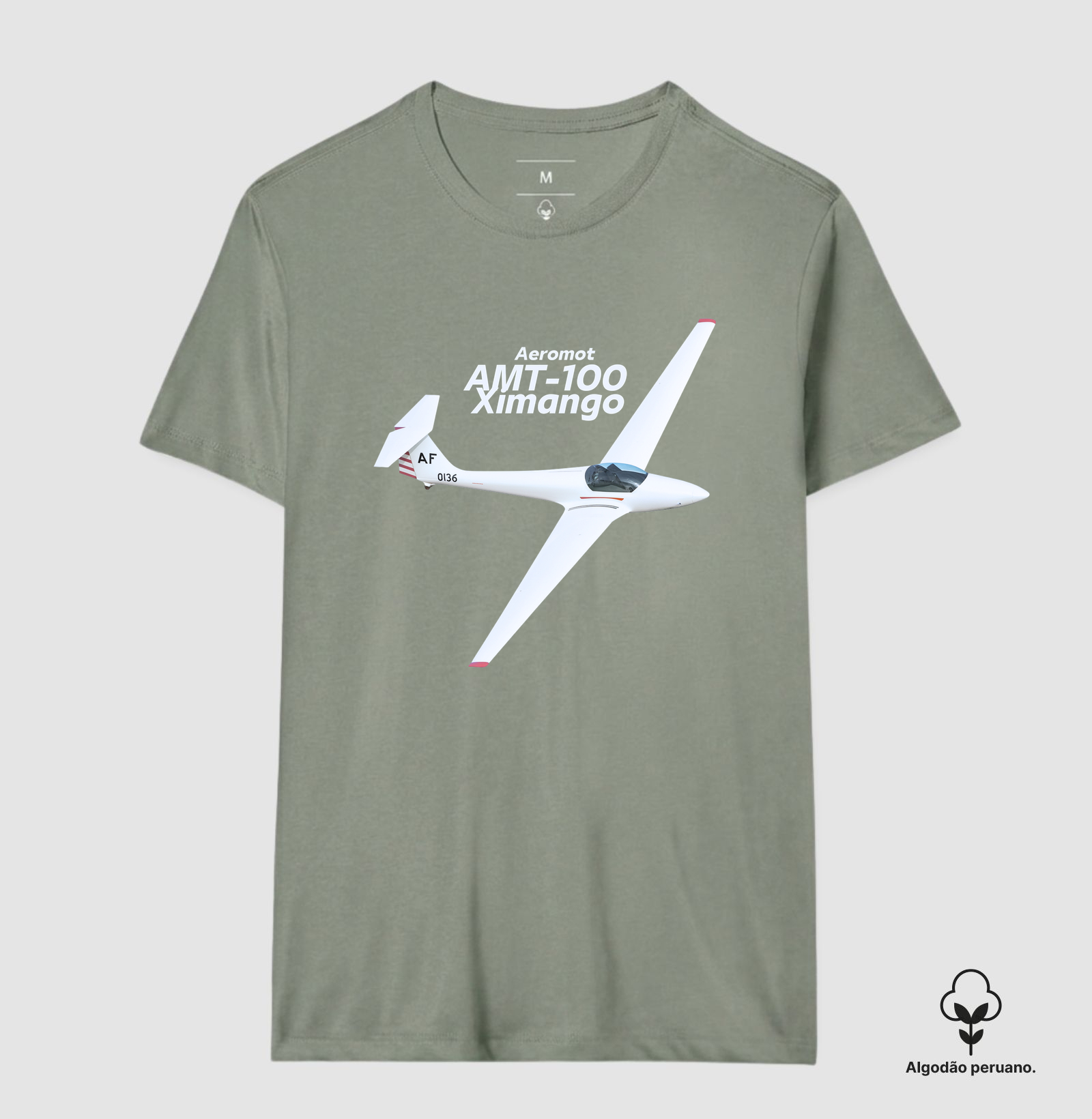 Planador - EMB-400  Ximango Aeromot - Imagem 7