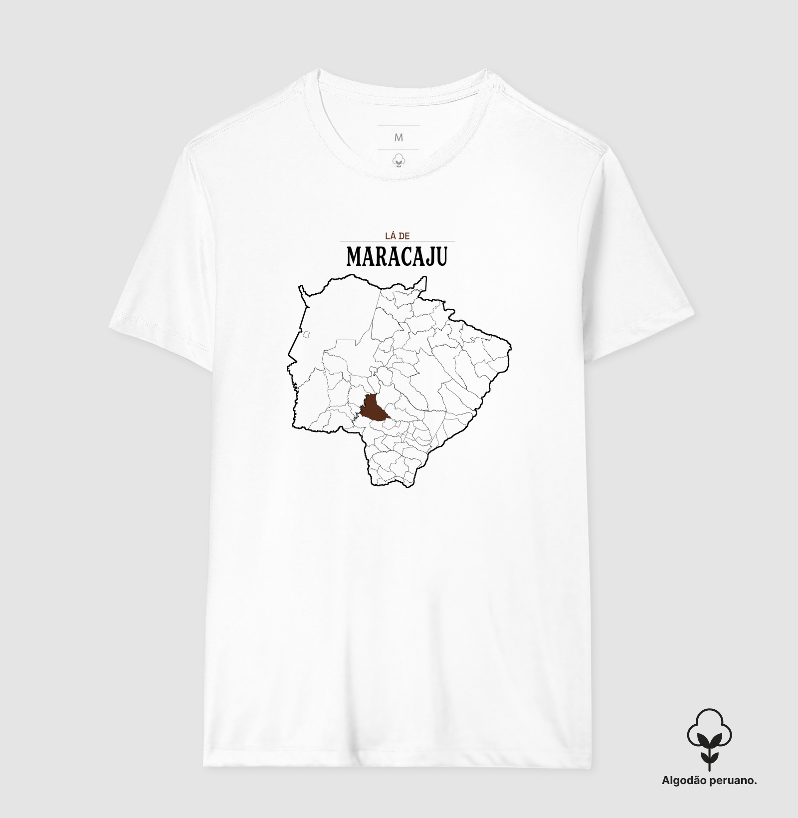 Maracaju | Território MS - Imagem 5