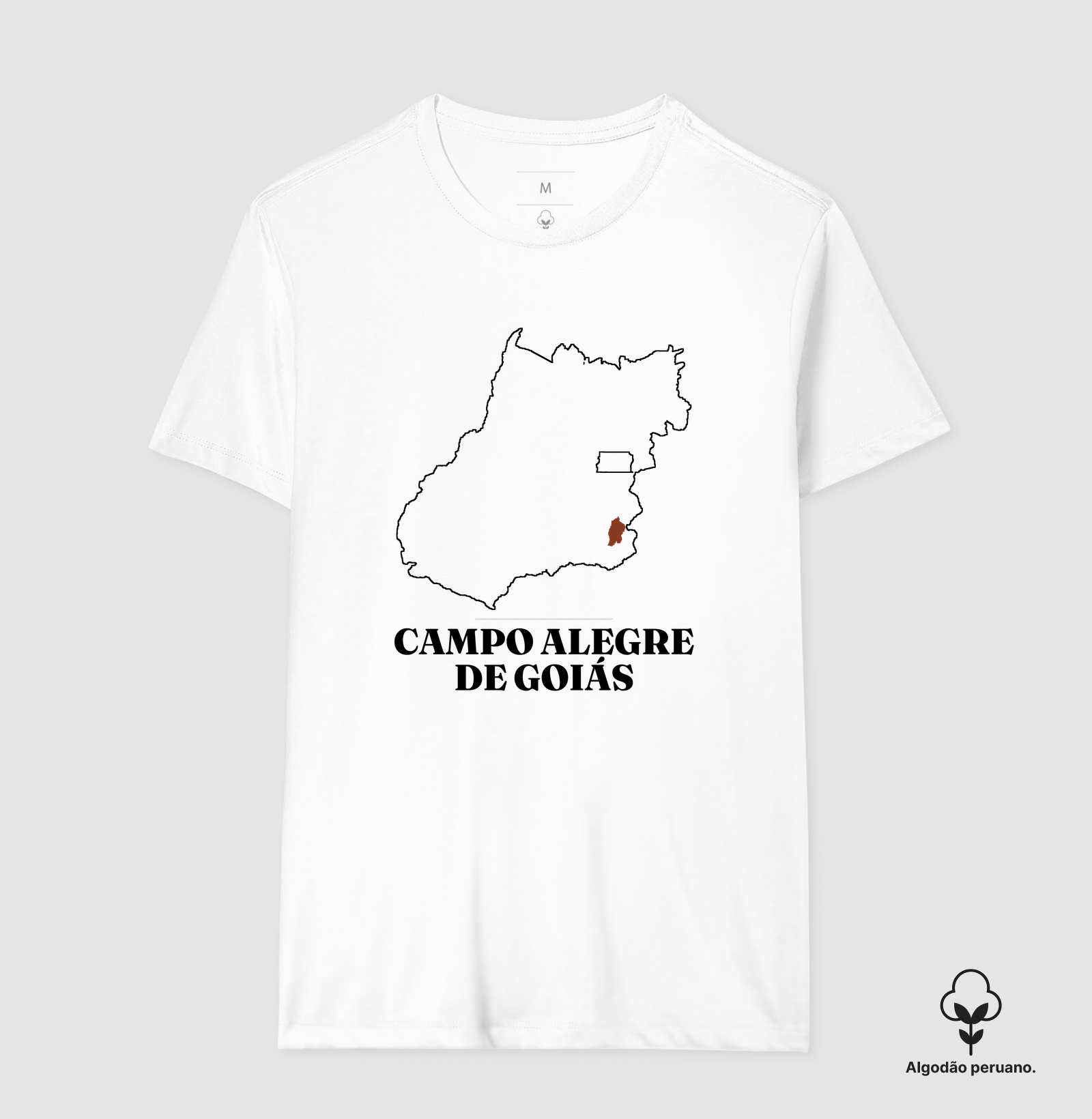 Campo Alegre de Goiás | Traço GO - Imagem 7