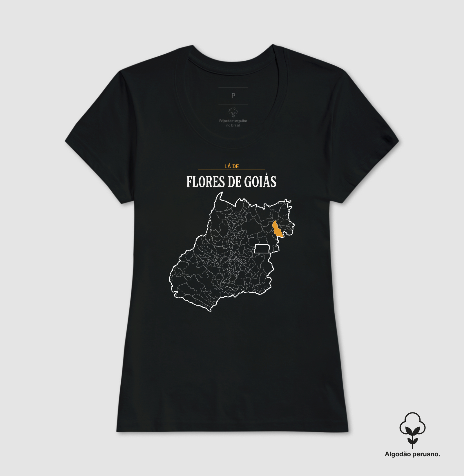 Flores de Goiás | Território GO - Imagem 6