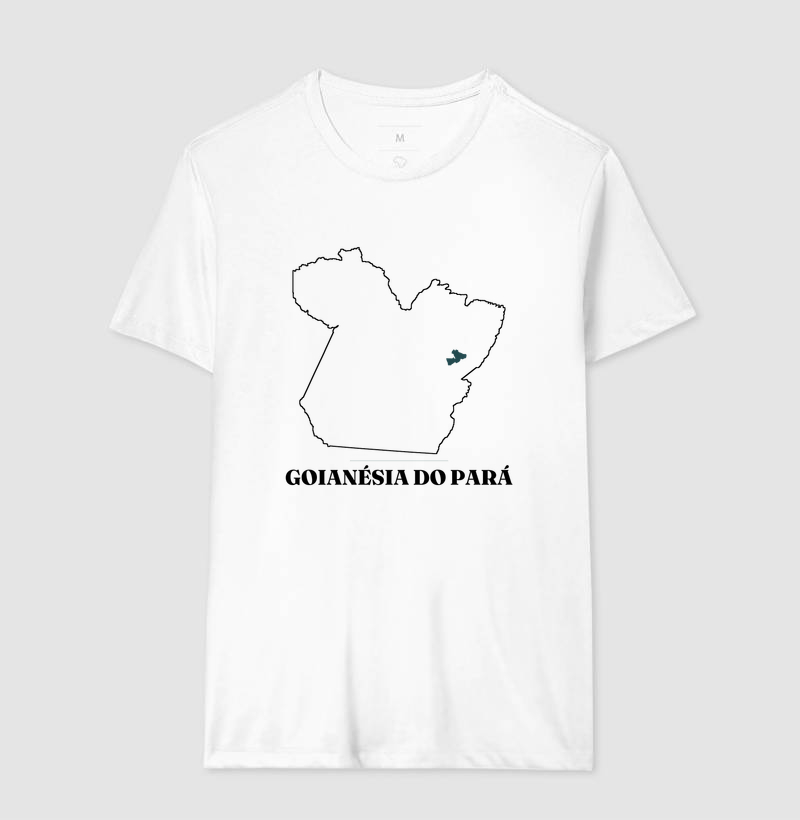 Goianésia do Pará | Traço PA - Imagem 4