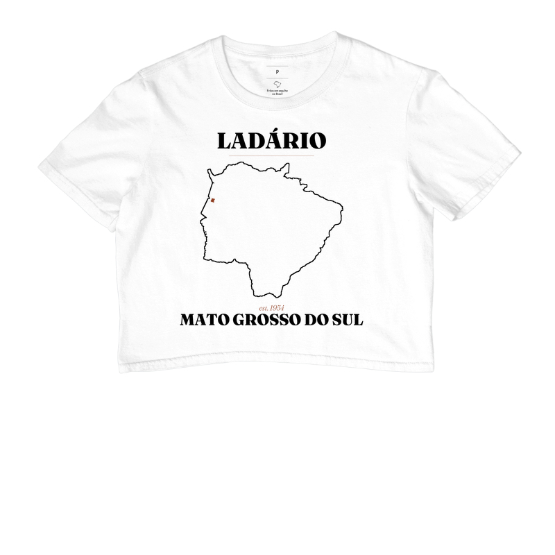 Ladário | Legado MS - Imagem 3