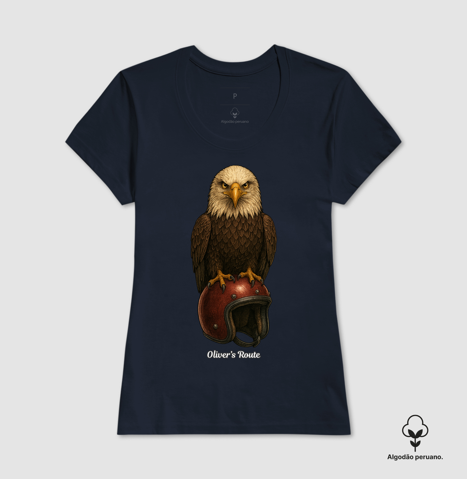 The Eagle and the Helmet - Imagem 3