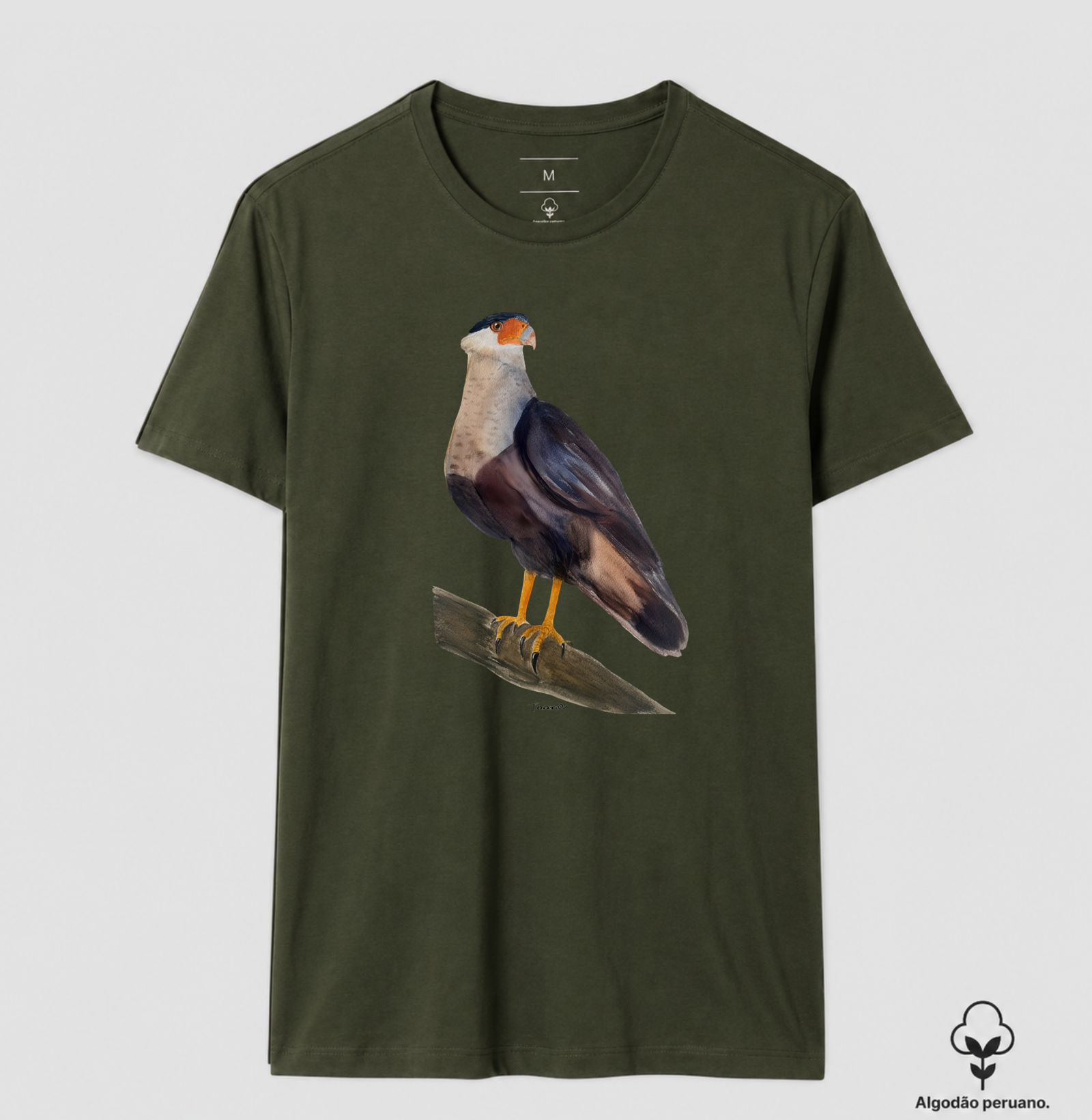 Camiseta Carcará – Aves do Brasil Algodão Peruano - Imagem 9